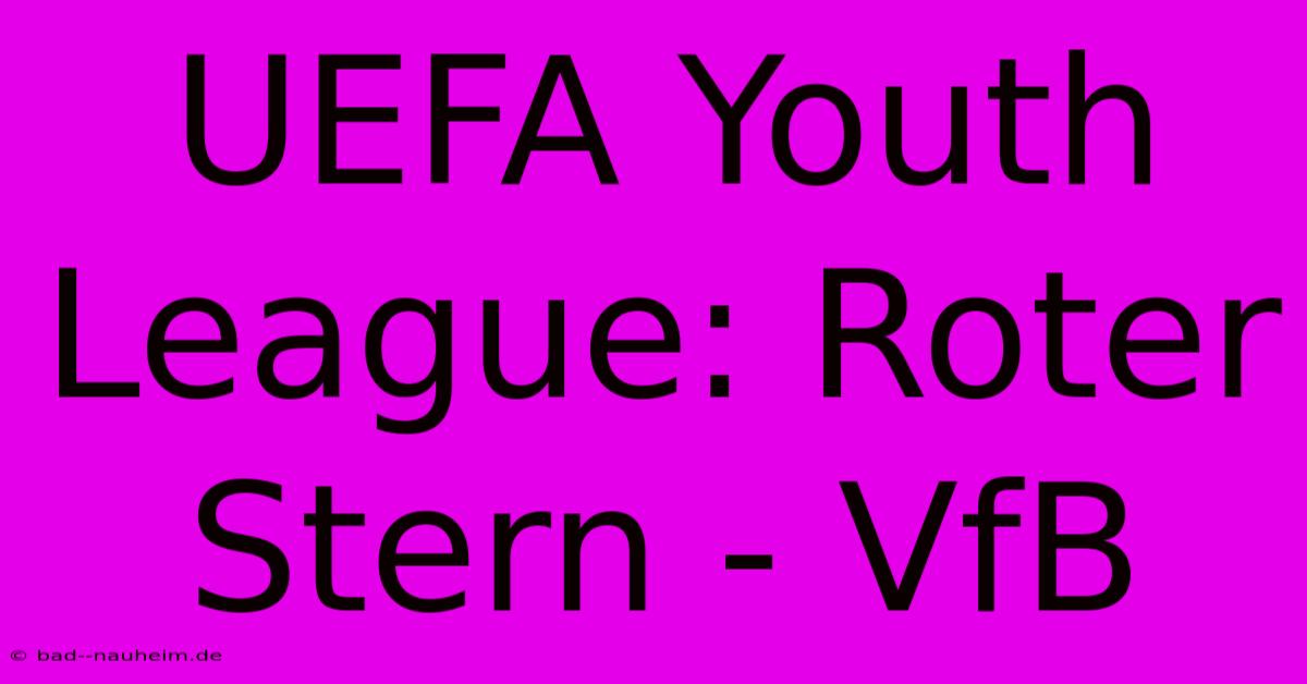 UEFA Youth League: Roter Stern - VfB