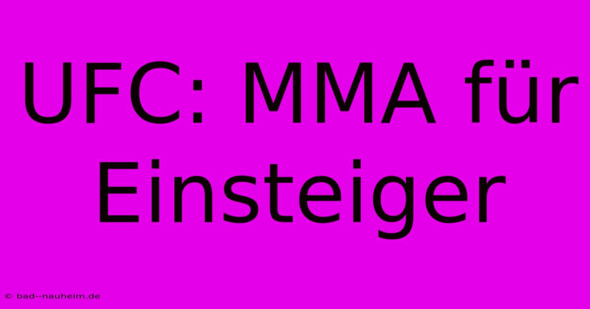 UFC: MMA Für Einsteiger