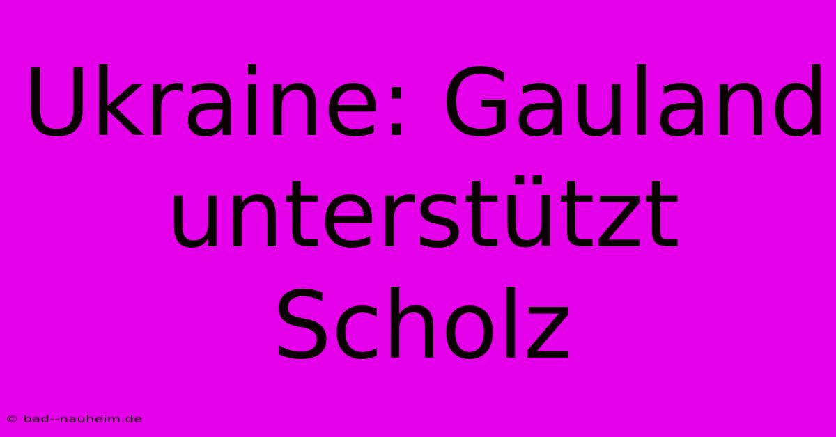 Ukraine: Gauland Unterstützt Scholz