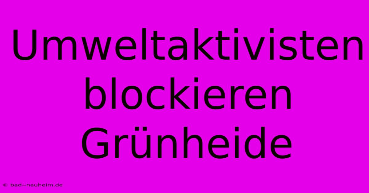 Umweltaktivisten Blockieren Grünheide