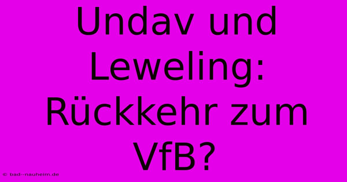 Undav Und Leweling: Rückkehr Zum VfB?