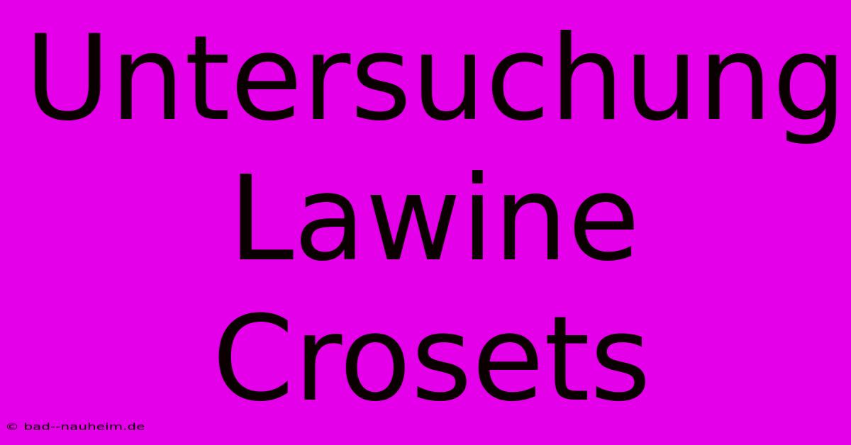 Untersuchung Lawine Crosets