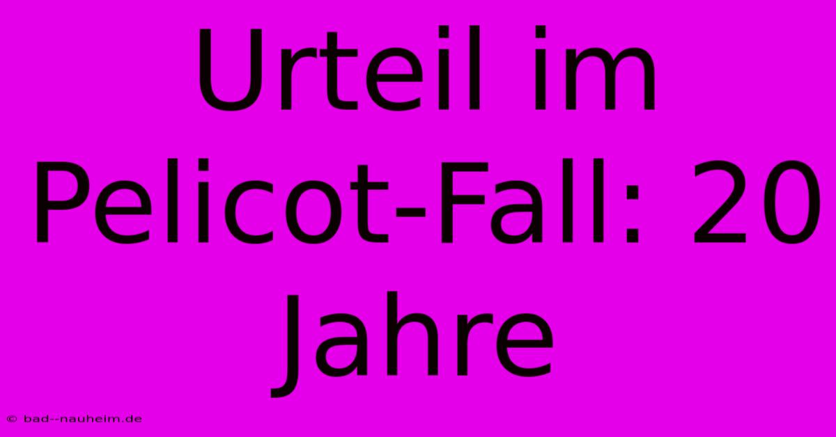 Urteil Im Pelicot-Fall: 20 Jahre