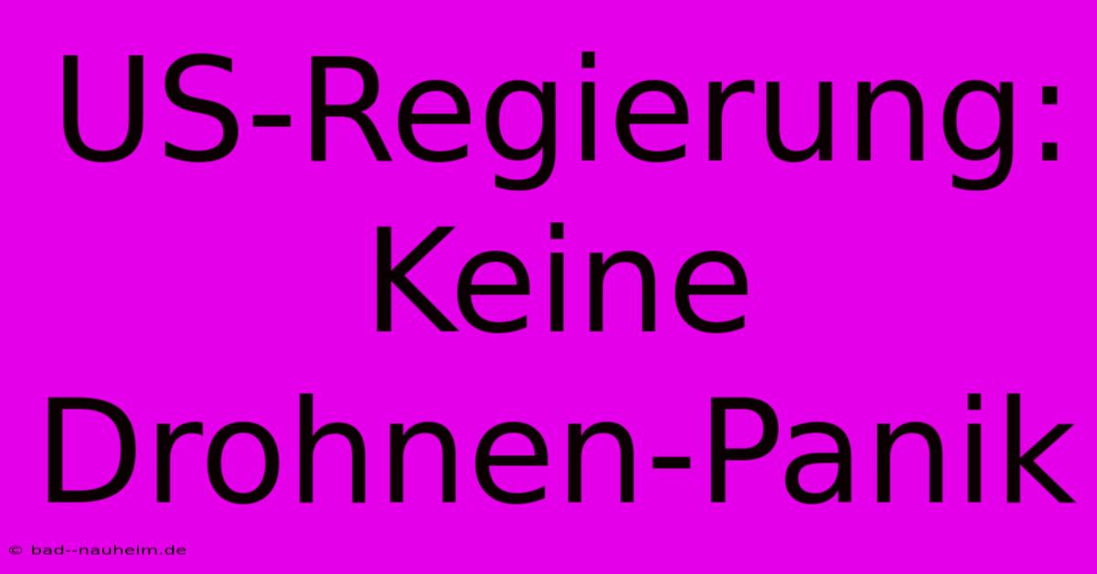 US-Regierung: Keine Drohnen-Panik