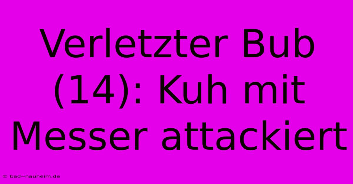 Verletzter Bub (14): Kuh Mit Messer Attackiert