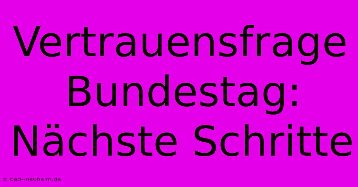 Vertrauensfrage Bundestag: Nächste Schritte