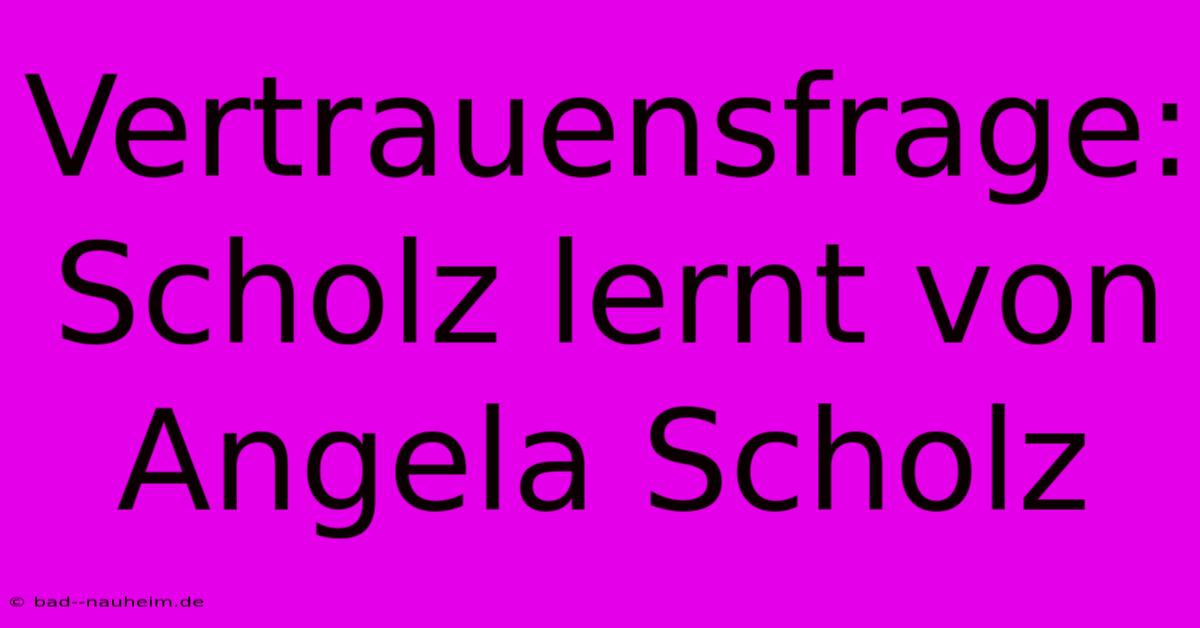 Vertrauensfrage:  Scholz Lernt Von Angela Scholz