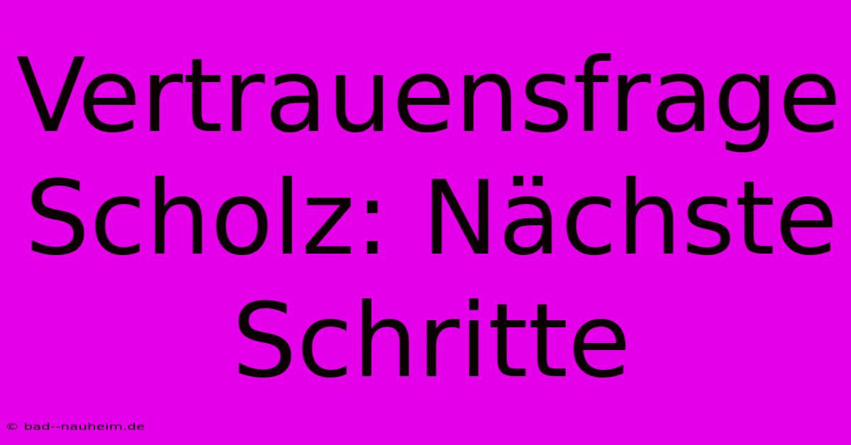 Vertrauensfrage Scholz: Nächste Schritte