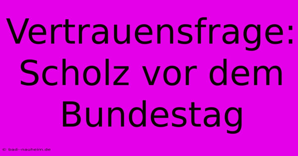 Vertrauensfrage:  Scholz Vor Dem Bundestag