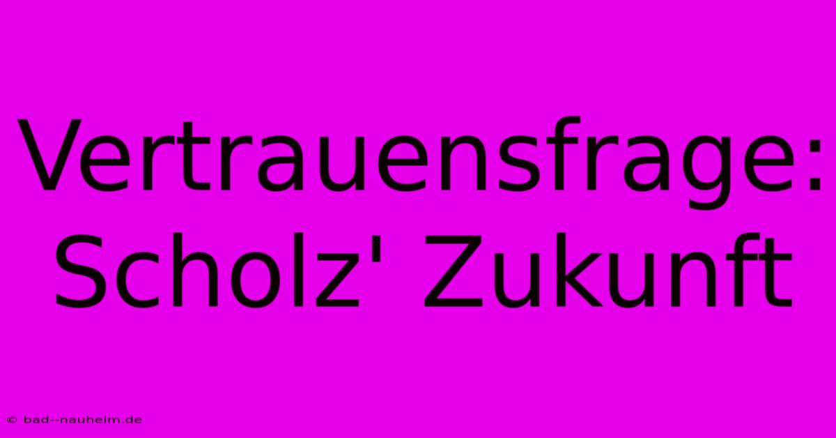 Vertrauensfrage: Scholz' Zukunft