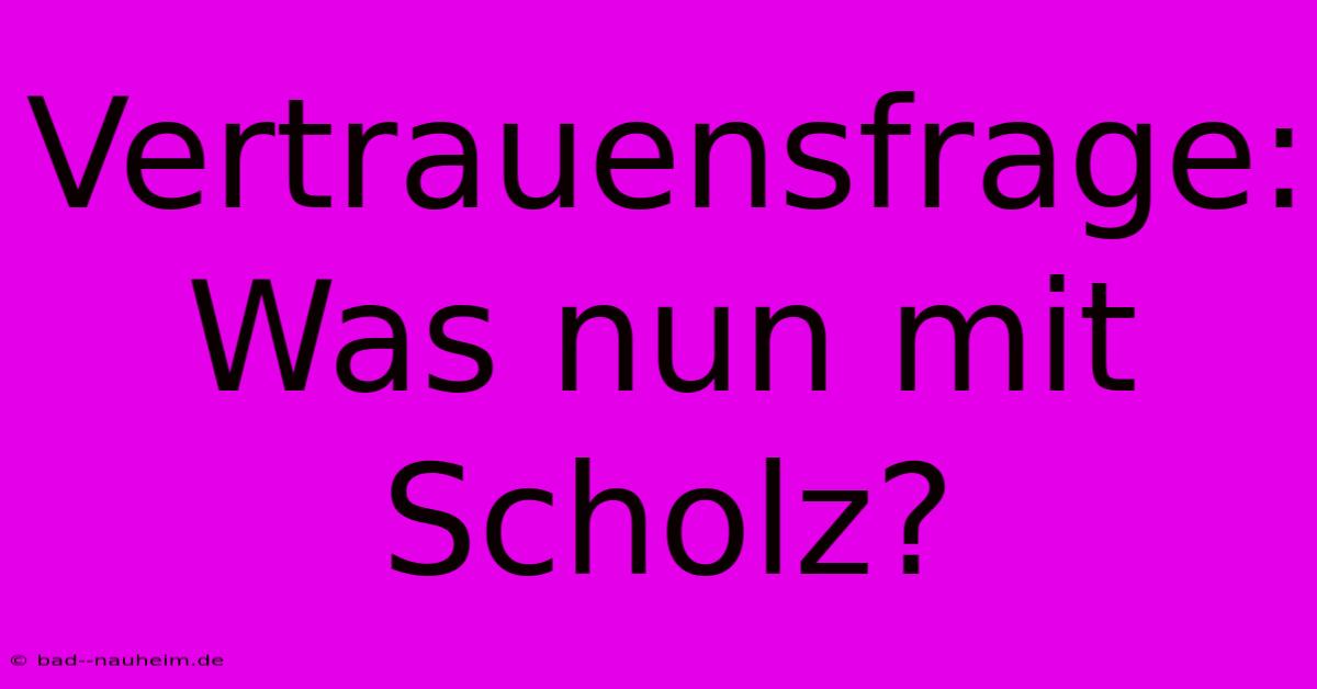 Vertrauensfrage: Was Nun Mit Scholz?