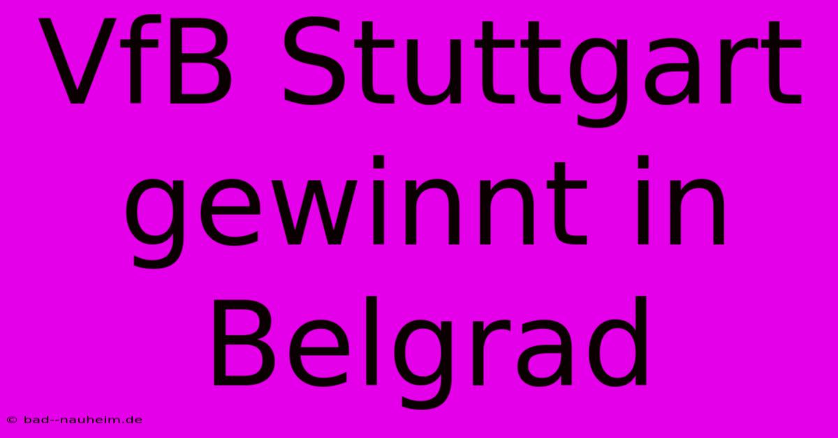 VfB Stuttgart Gewinnt In Belgrad