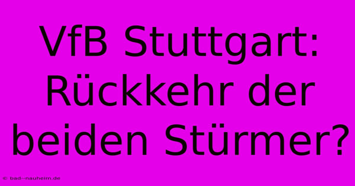 VfB Stuttgart: Rückkehr Der Beiden Stürmer?