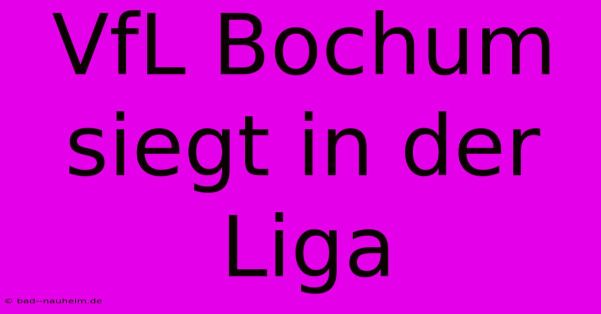 VfL Bochum Siegt In Der Liga