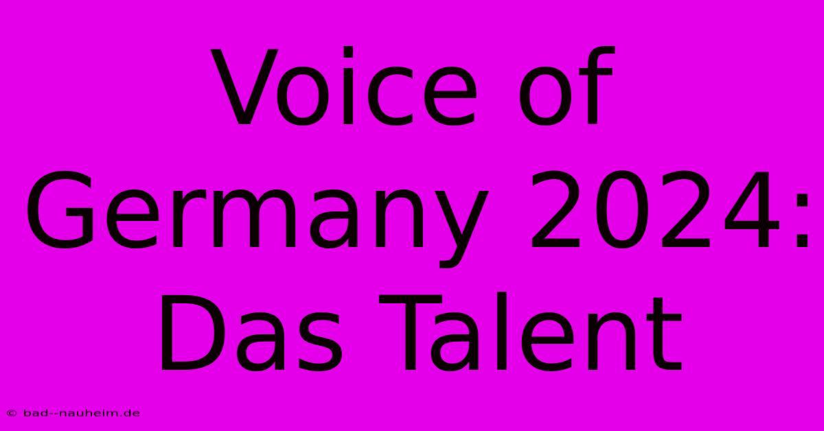 Voice Of Germany 2024: Das Talent