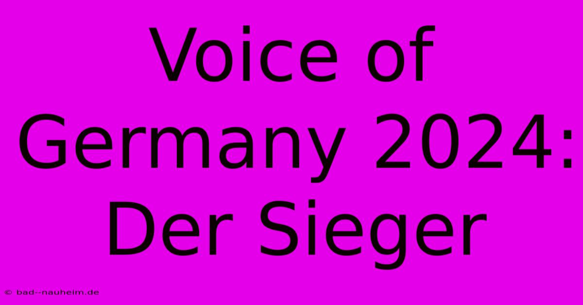 Voice Of Germany 2024: Der Sieger