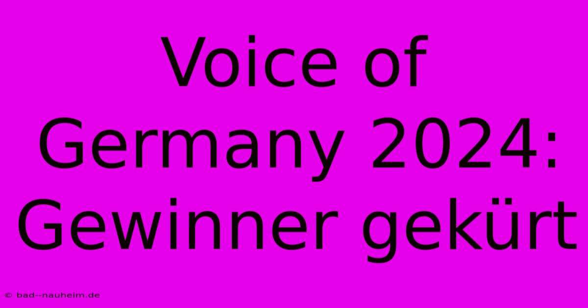 Voice Of Germany 2024: Gewinner Gekürt