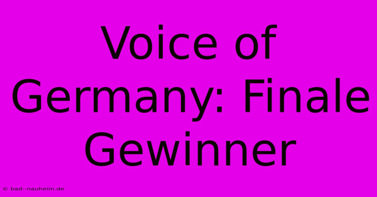 Voice Of Germany: Finale Gewinner