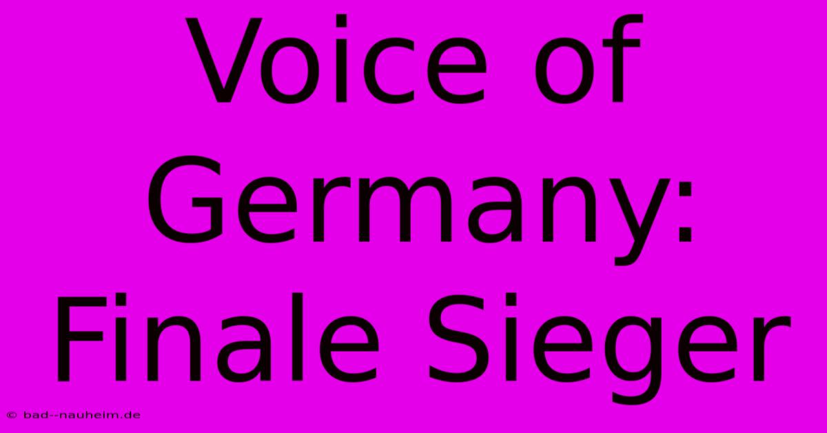 Voice Of Germany: Finale Sieger