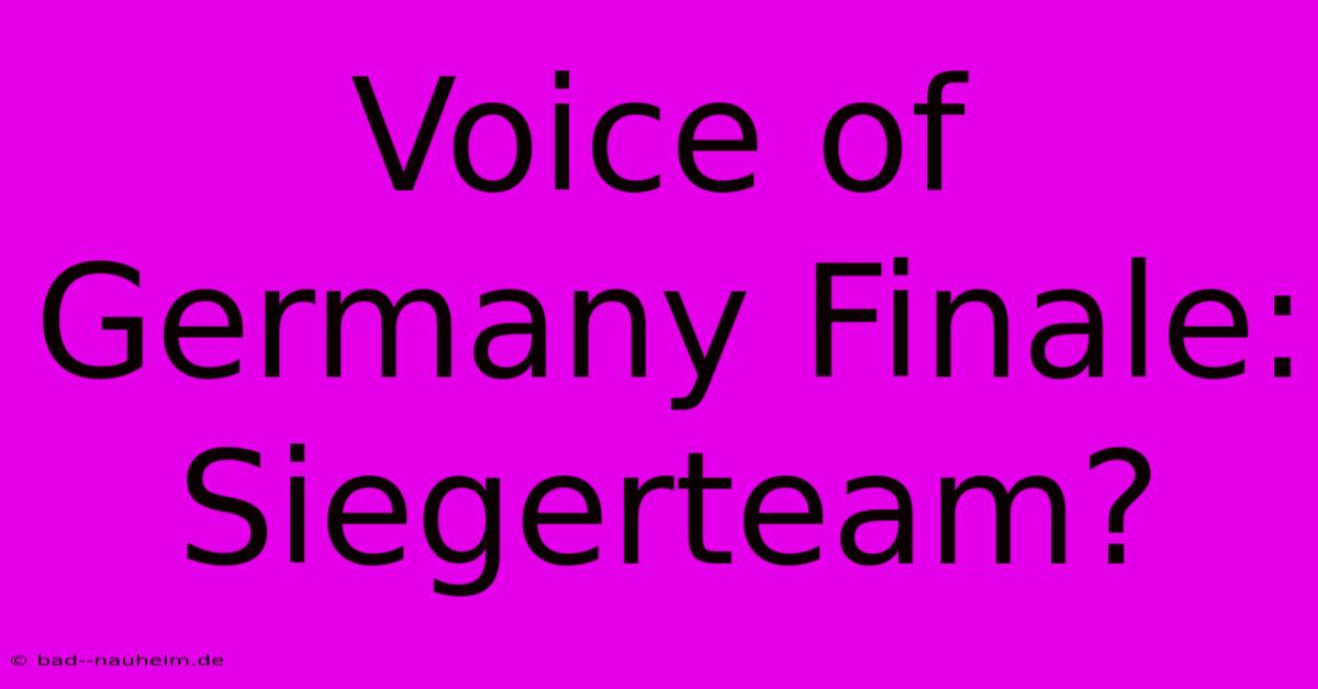 Voice Of Germany Finale: Siegerteam?