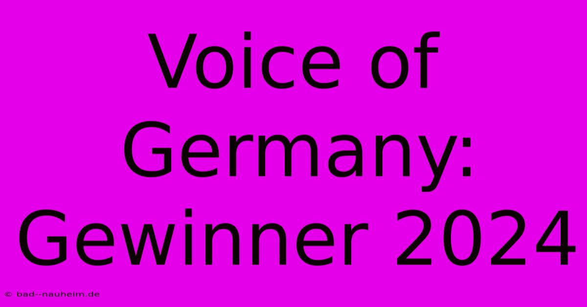 Voice Of Germany: Gewinner 2024