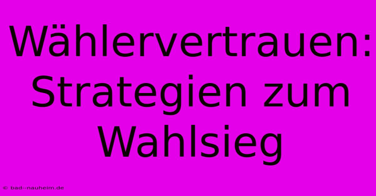 Wählervertrauen:  Strategien Zum Wahlsieg