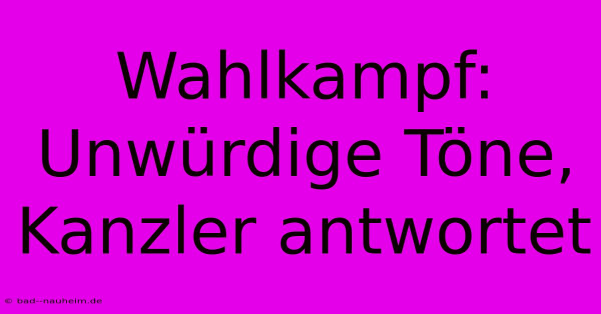 Wahlkampf:  Unwürdige Töne, Kanzler Antwortet