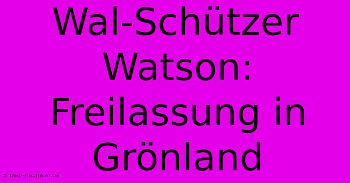 Wal-Schützer Watson: Freilassung In Grönland