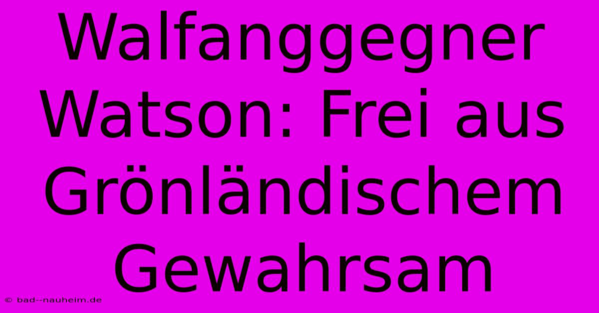 Walfanggegner Watson: Frei Aus Grönländischem Gewahrsam