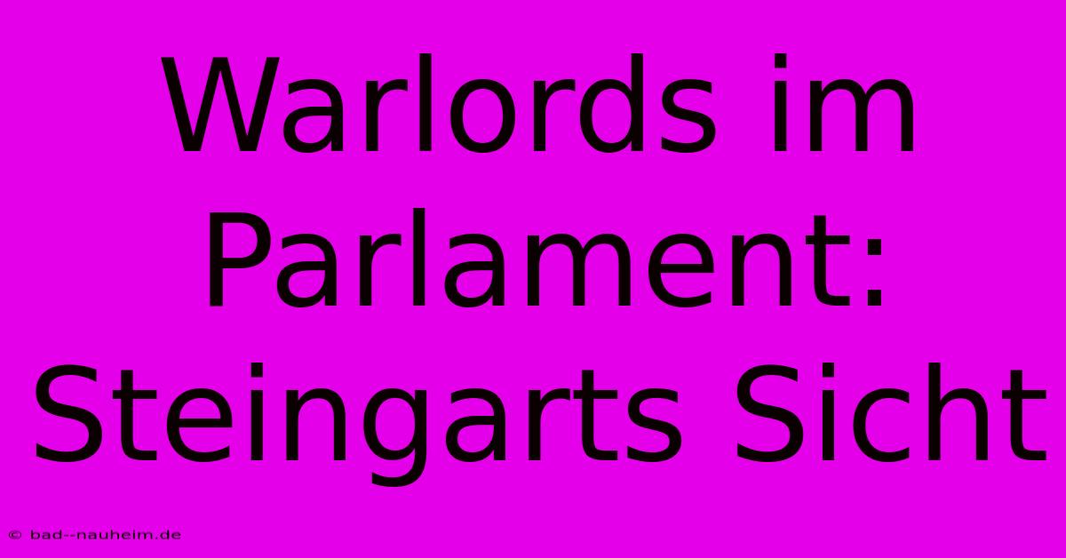 Warlords Im Parlament: Steingarts Sicht