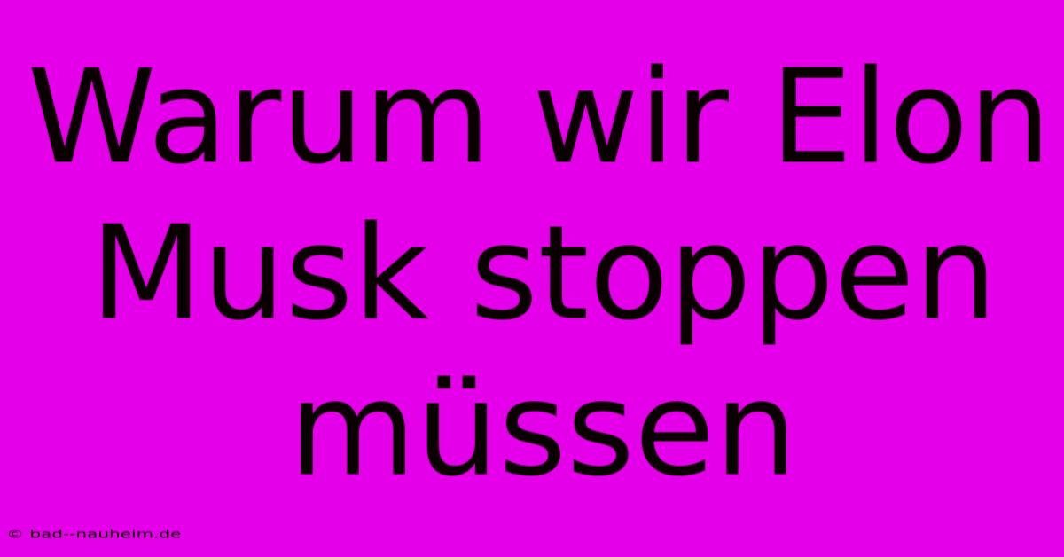 Warum Wir Elon Musk Stoppen Müssen