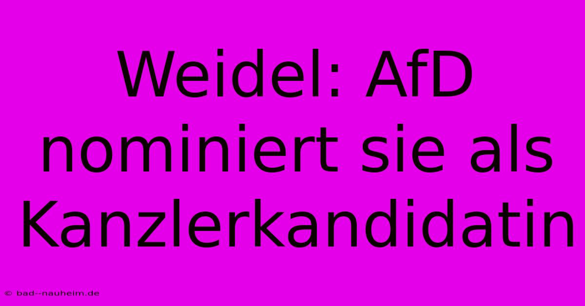 Weidel: AfD Nominiert Sie Als Kanzlerkandidatin