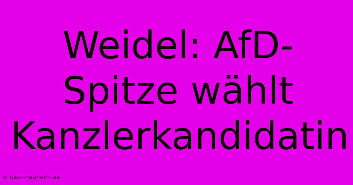 Weidel: AfD-Spitze Wählt Kanzlerkandidatin