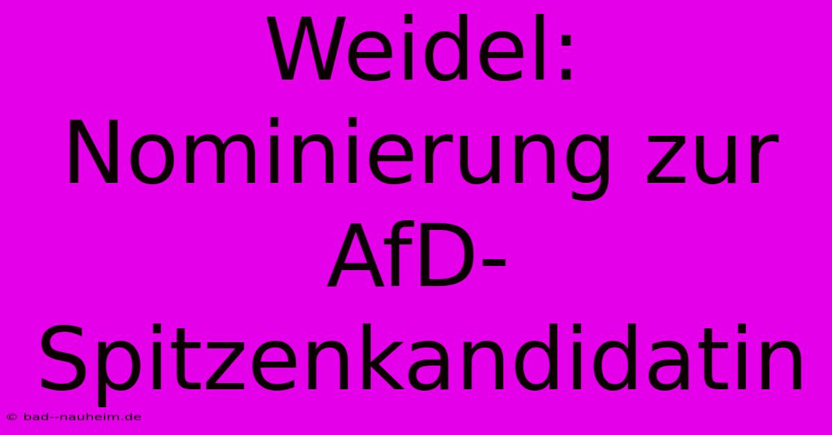 Weidel: Nominierung Zur AfD-Spitzenkandidatin