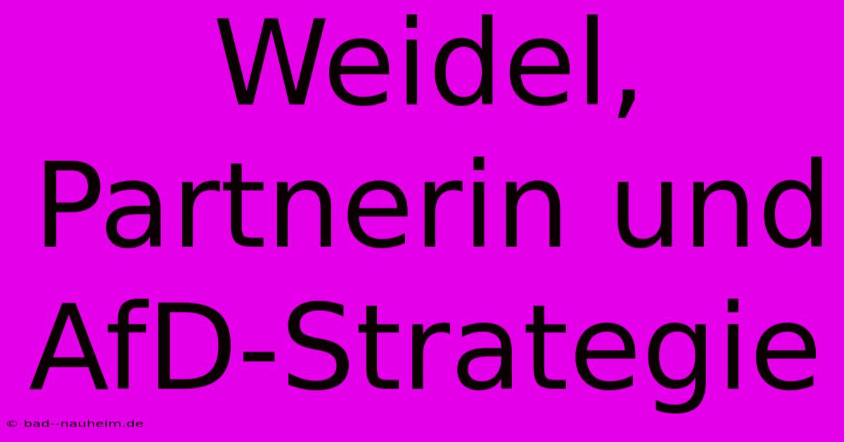 Weidel, Partnerin Und AfD-Strategie