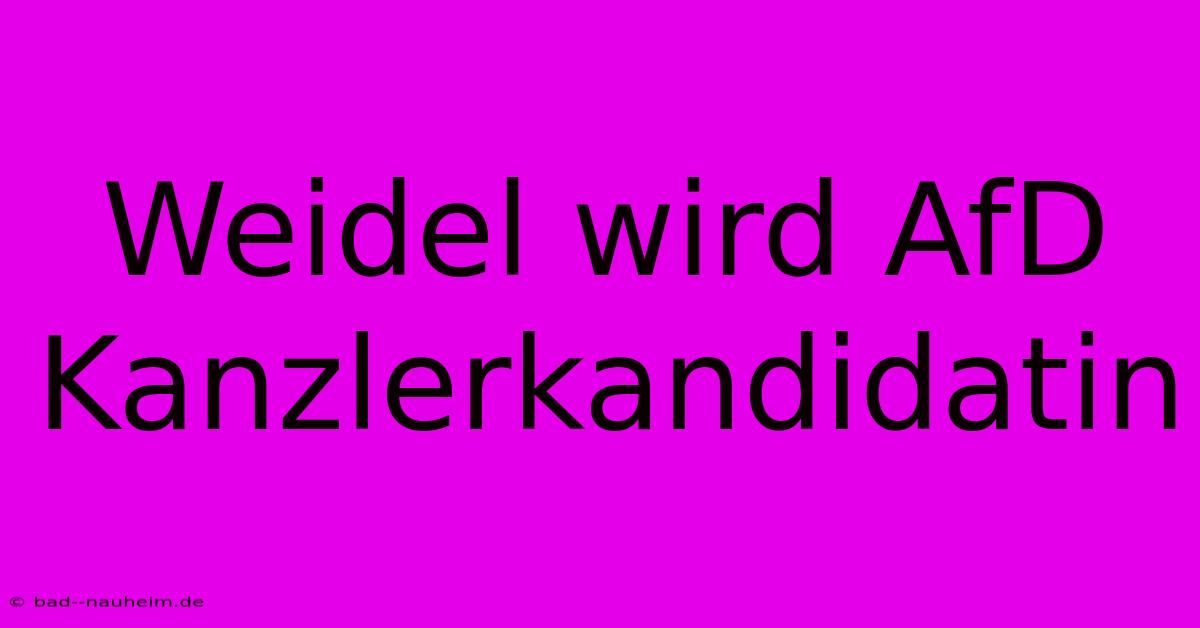 Weidel Wird AfD Kanzlerkandidatin