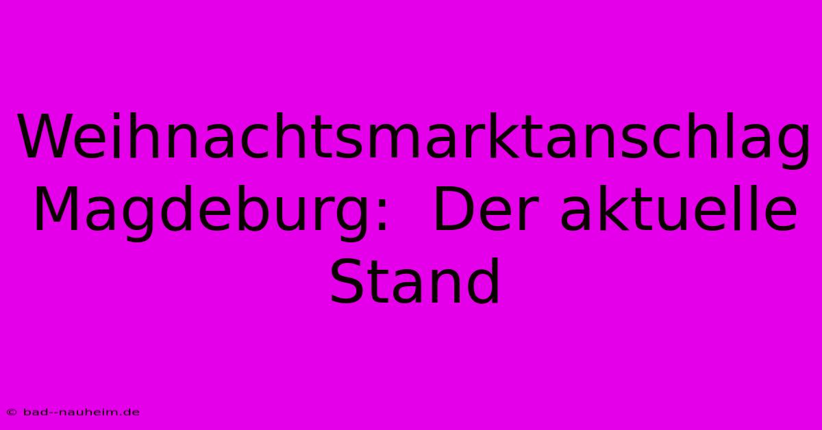 Weihnachtsmarktanschlag Magdeburg:  Der Aktuelle Stand