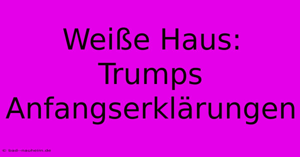 Weiße Haus: Trumps Anfangserklärungen