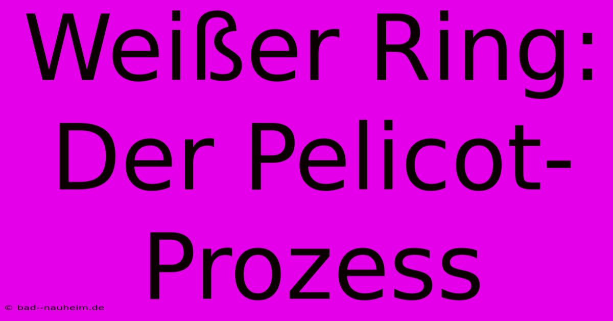 Weißer Ring:  Der Pelicot-Prozess