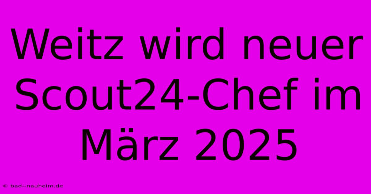 Weitz Wird Neuer Scout24-Chef Im März 2025