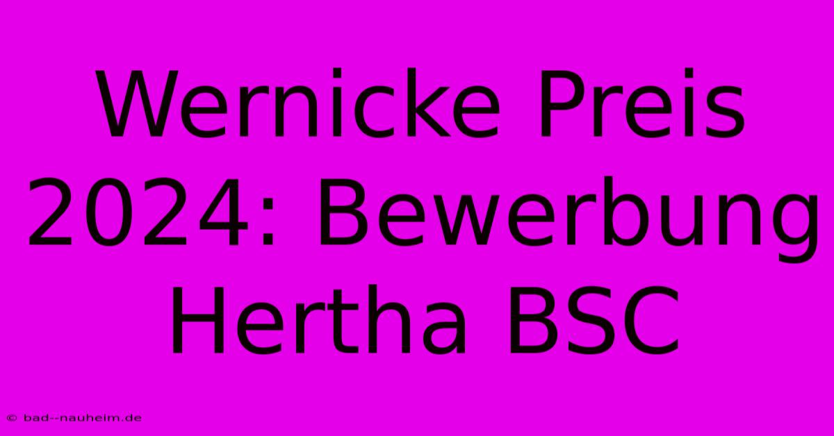 Wernicke Preis 2024: Bewerbung Hertha BSC