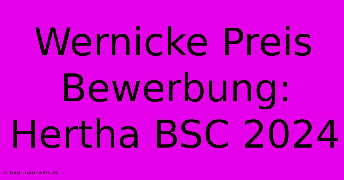 Wernicke Preis Bewerbung: Hertha BSC 2024