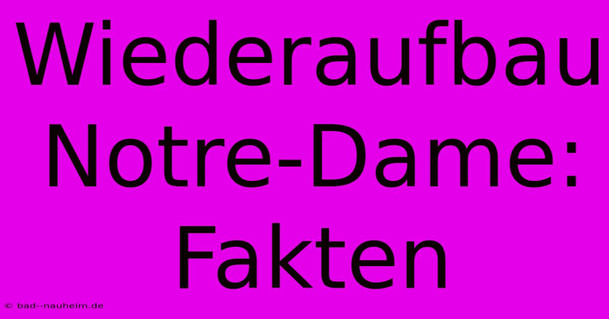 Wiederaufbau Notre-Dame:  Fakten