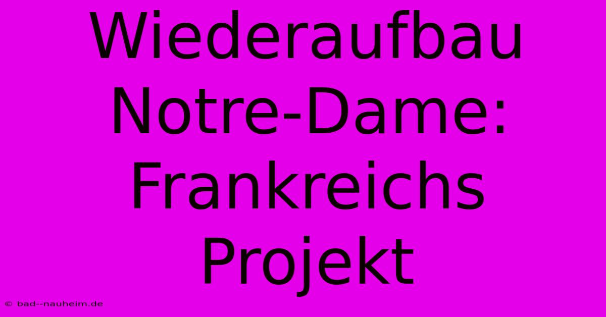 Wiederaufbau Notre-Dame: Frankreichs Projekt