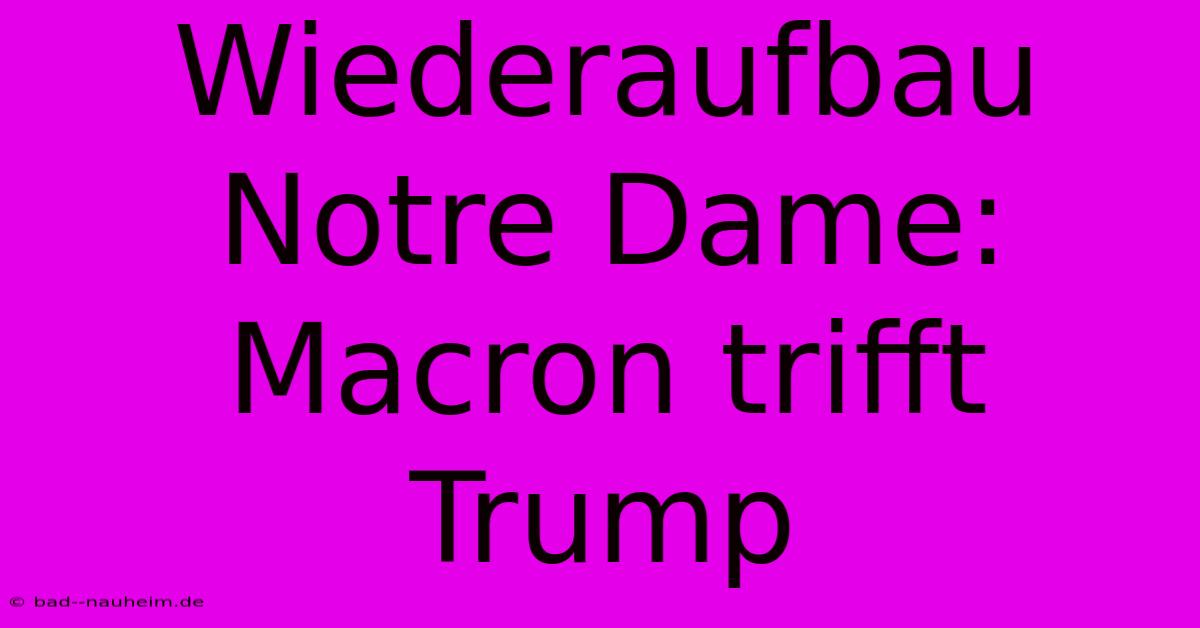 Wiederaufbau Notre Dame: Macron Trifft Trump