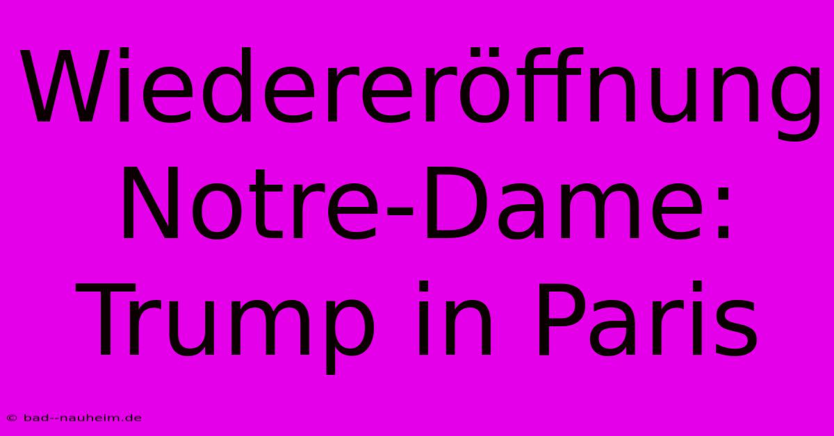 Wiedereröffnung Notre-Dame: Trump In Paris