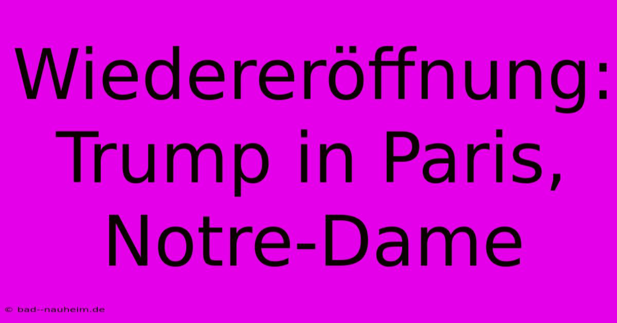 Wiedereröffnung: Trump In Paris, Notre-Dame