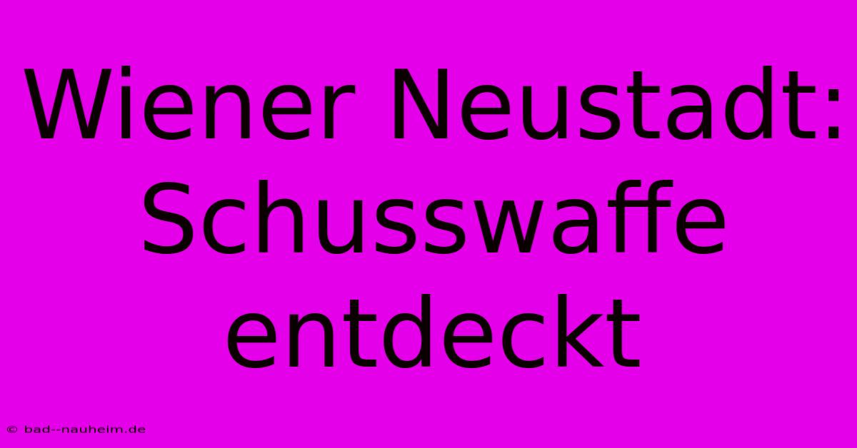 Wiener Neustadt: Schusswaffe Entdeckt