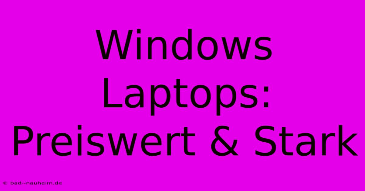 Windows Laptops:  Preiswert & Stark