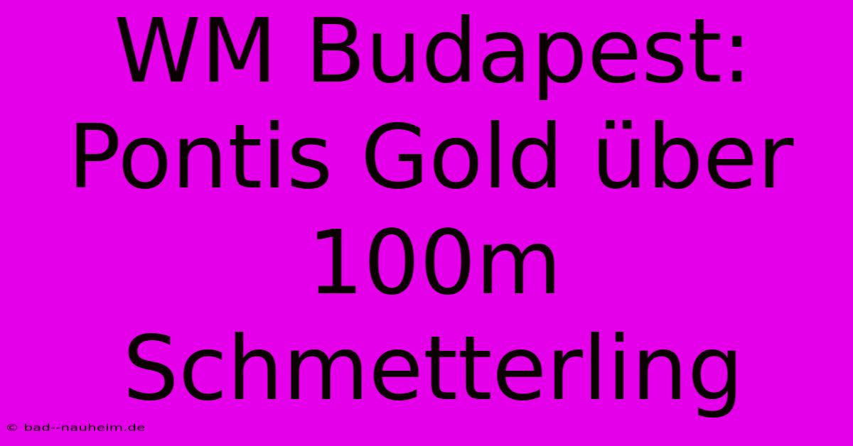 WM Budapest: Pontis Gold Über 100m Schmetterling